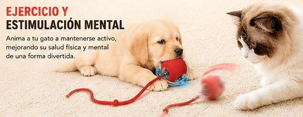Bola Interactiva Inteligente KIVON para Gatos +