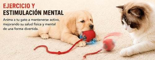 Bola Interactiva Inteligente KIVON para Gatos +