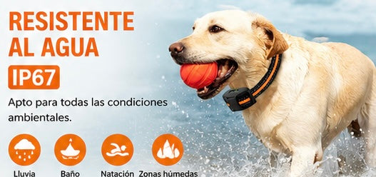 Collar de Adiestramiento KIVON para Perros — Hasta 1000 m de Alcance