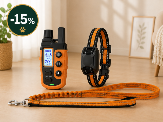Pack Adiestramiento y Paseo KIVON — Collar de Adiestramiento + Correa Manos Libres